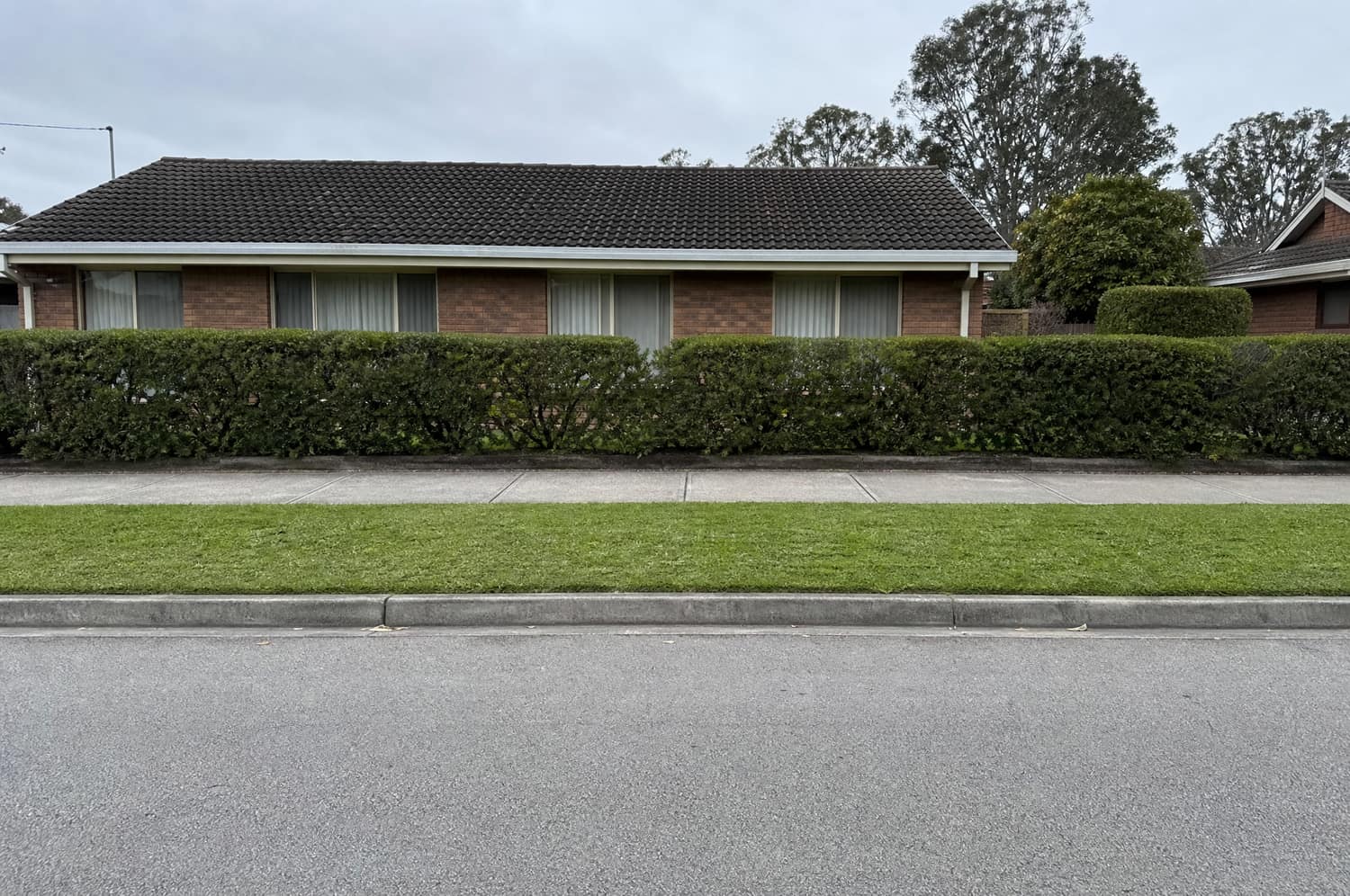 A grass verge between a footpath and a kerb outside a house, undisturbed.